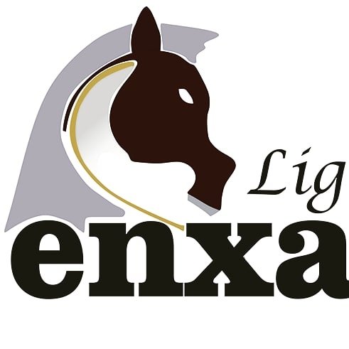 ENX ENGENHARIA E COMUNICACAO LTDA